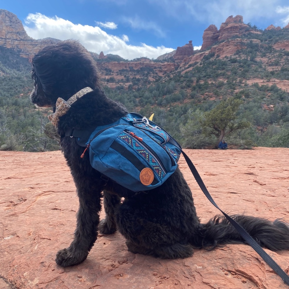 WilderDog Backpack